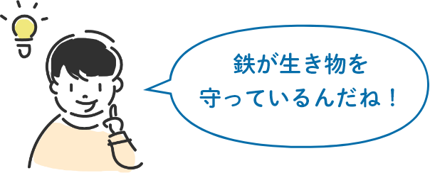 鉄が生き物を守っているんだね!